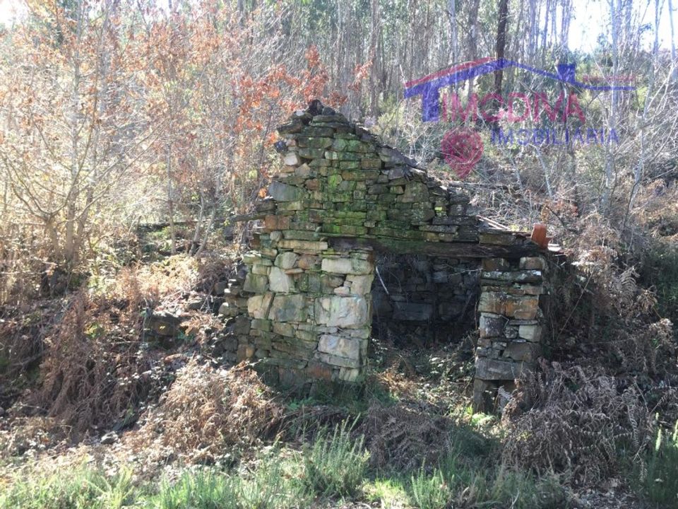 Landejendom i Pedrogao Grande, Leiria - foto 2