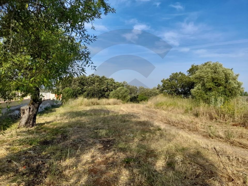 Helårsgrund i Olaia e Paco, Santarem - foto 5