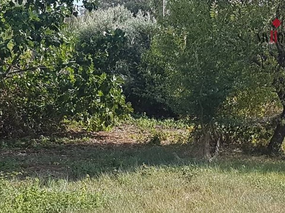 Helårsgrund i San Benedetto Del Tronto, Ascoli Piceno - foto 3