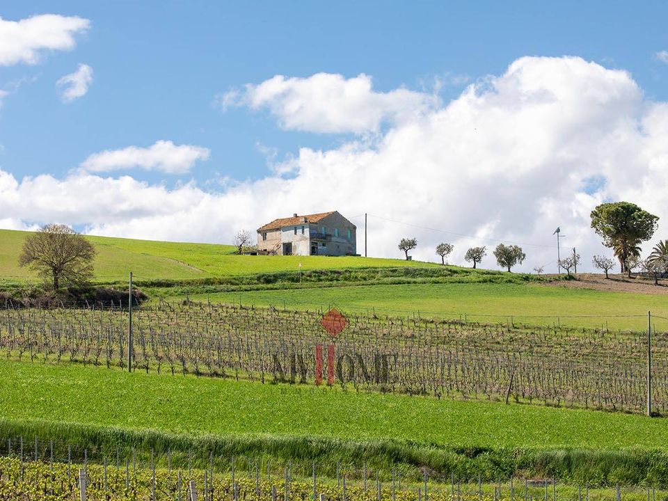 Landejendom i Montalto delle Marche, Ascoli Piceno - foto 4