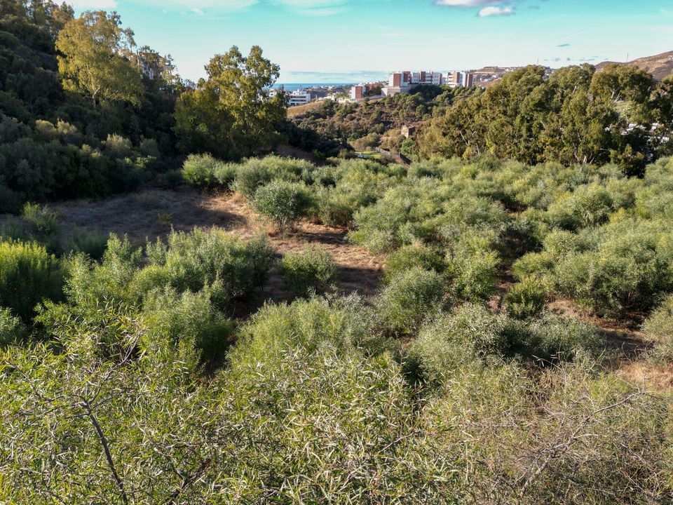 Helårsgrund i Benahavis, Malaga - foto 4