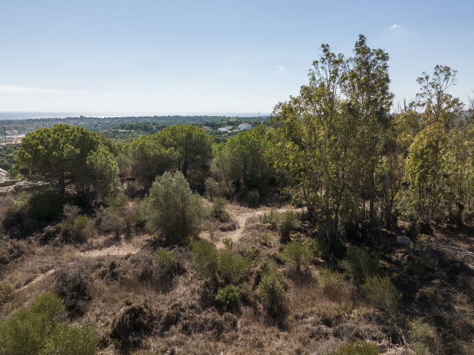 Helårsgrund i Sotogrande, Cadiz - foto 4
