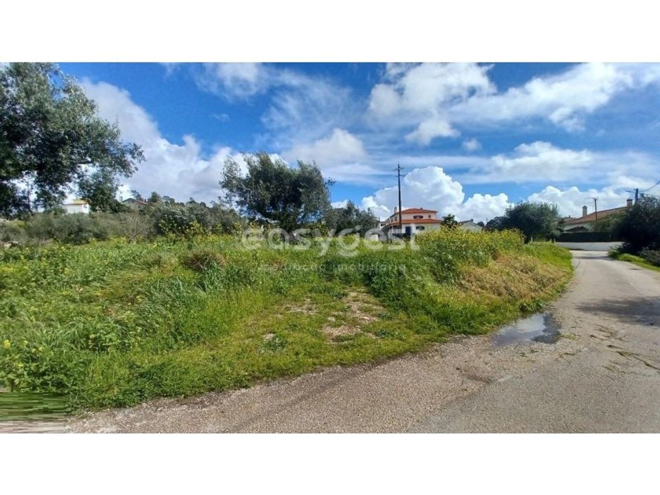 Terra a Assentiz, Santarem - foto 2