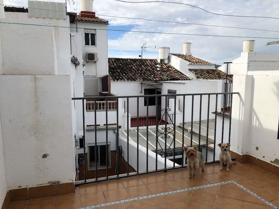 Villa in Olvera, Cadiz - foto 5