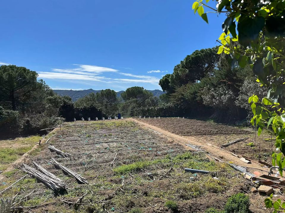 Helårsgrund i Santa Cristina D'aro, Gerona - foto 2
