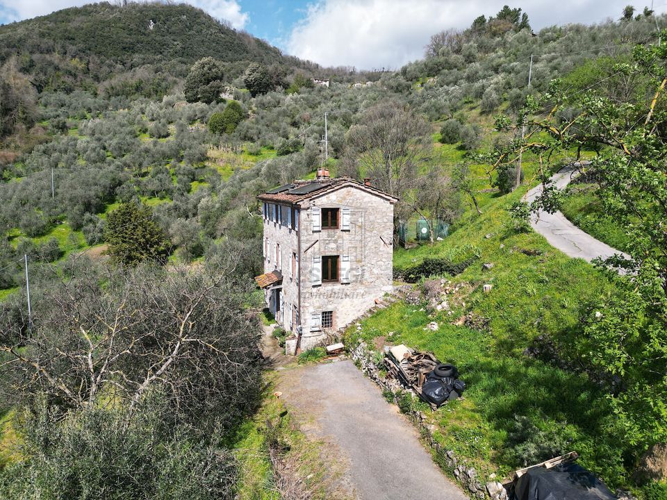 Villa i Borgo a Mozzano, Lucca - foto 3