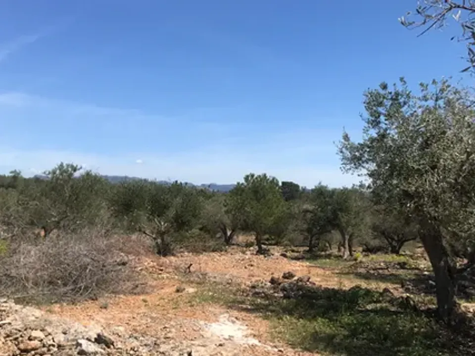 Finca i Rasquera, Tarragona - foto 5