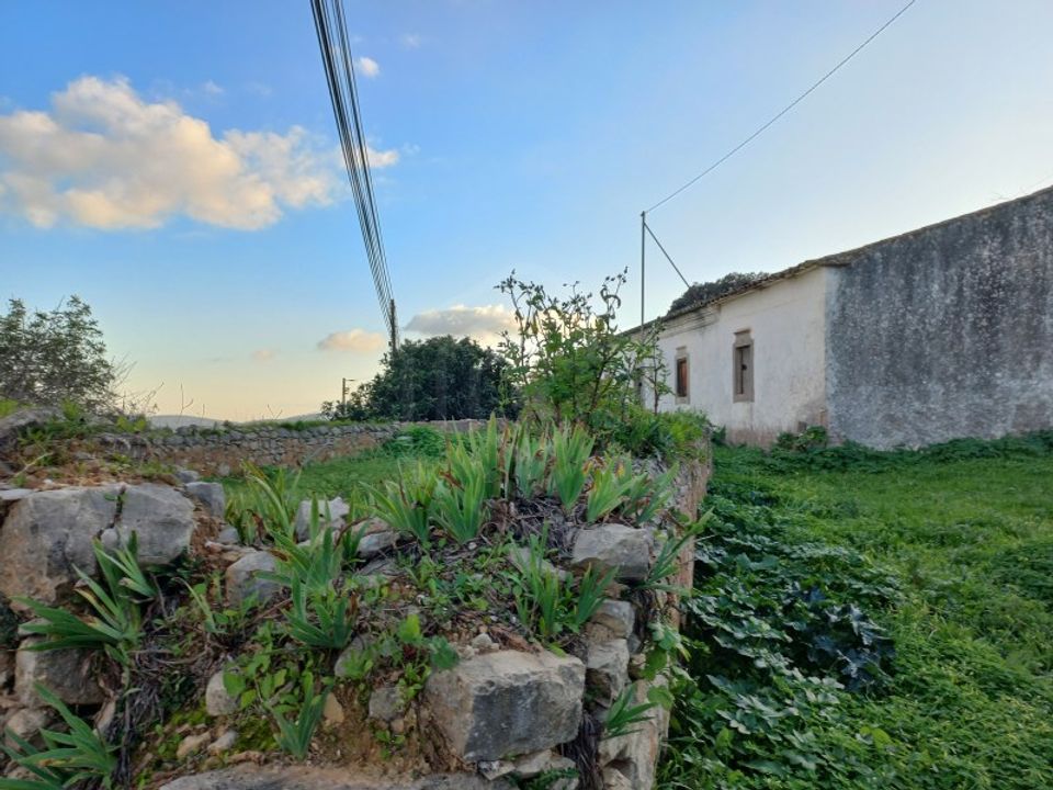 Farm i Sao Bras de Alportel, Faro - foto 2