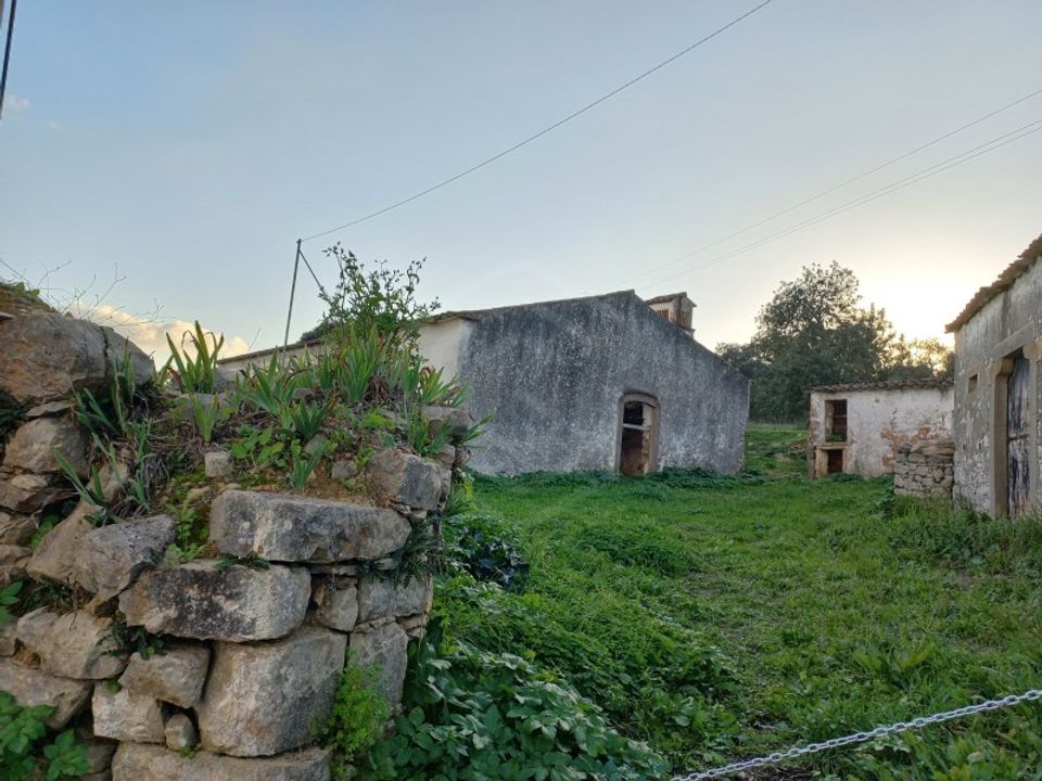 Farm i Sao Bras de Alportel, Faro - foto 4