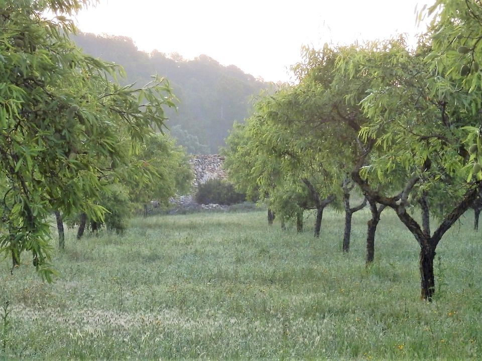 Finca i Miravet, Tarragona - foto 4