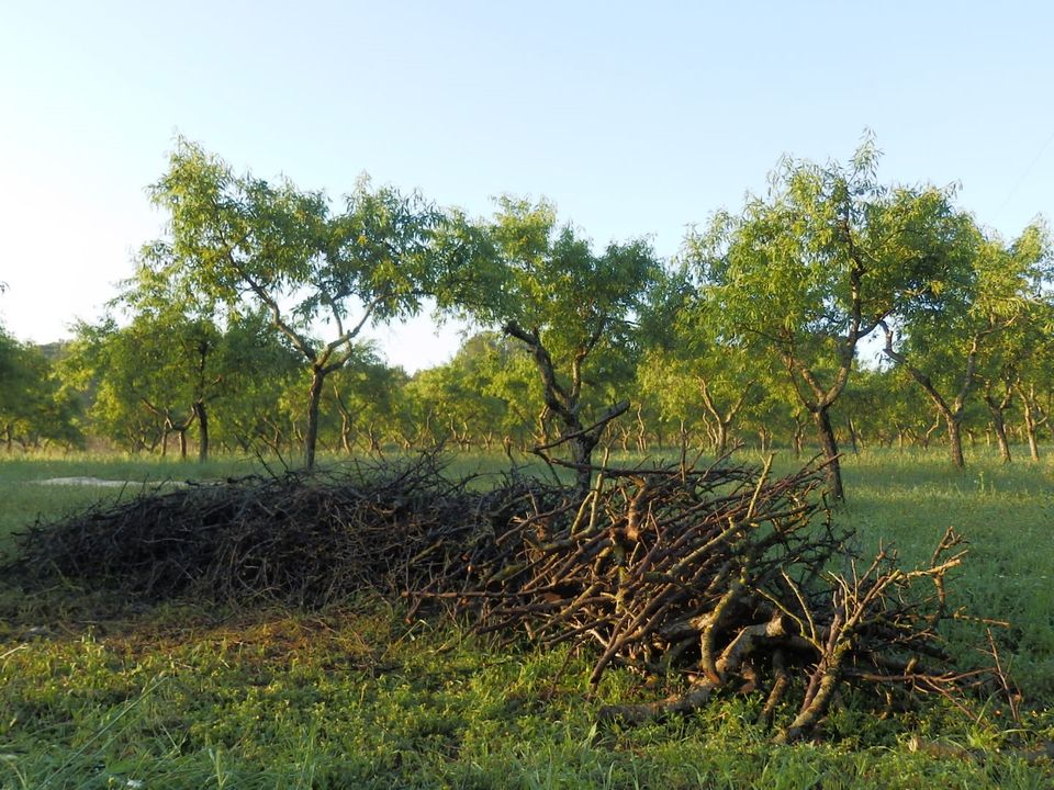 Finca i Miravet, Tarragona - foto 5