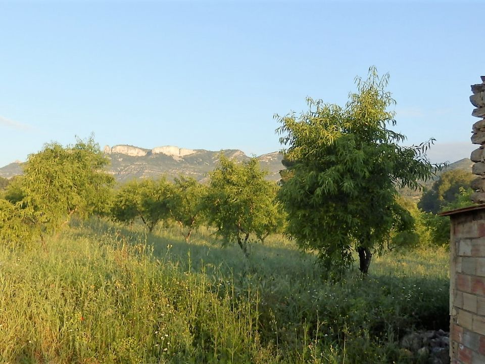 Finca i Miravet, Tarragona - foto 2