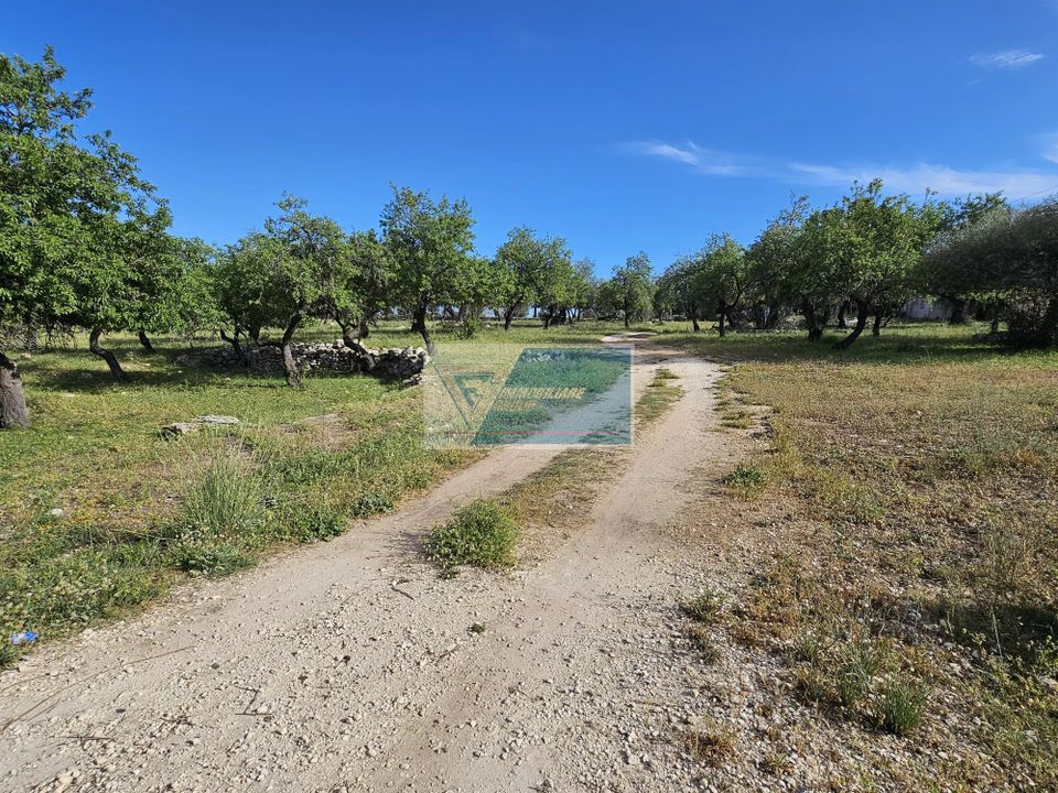 Helårsgrund i Priolo Gargallo, Siracusa - foto 4