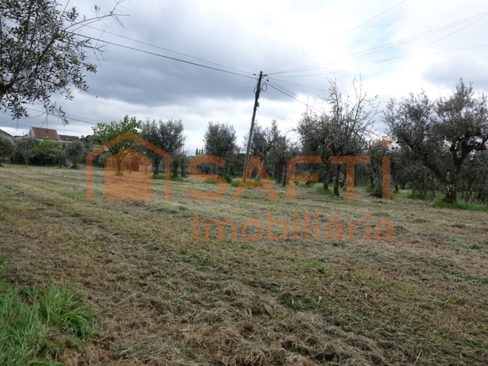 Granja a Nelas, Viseu - foto 3