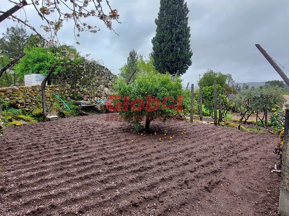 Helårsgrund i Viseu, Viseu - foto 4