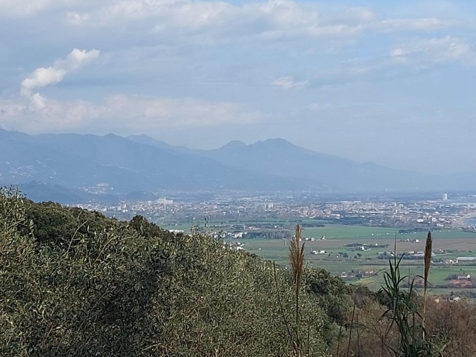 Villa a Ameglia, La Spezia - foto 4