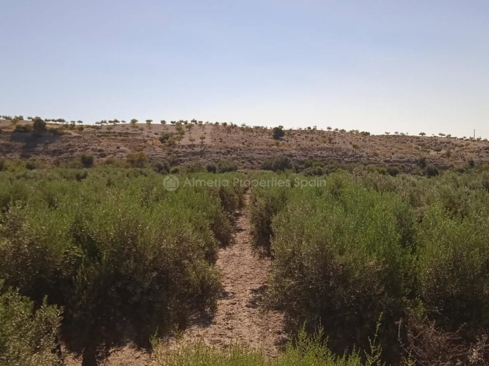 Helårsgrund i Albox, Almeria - foto 1