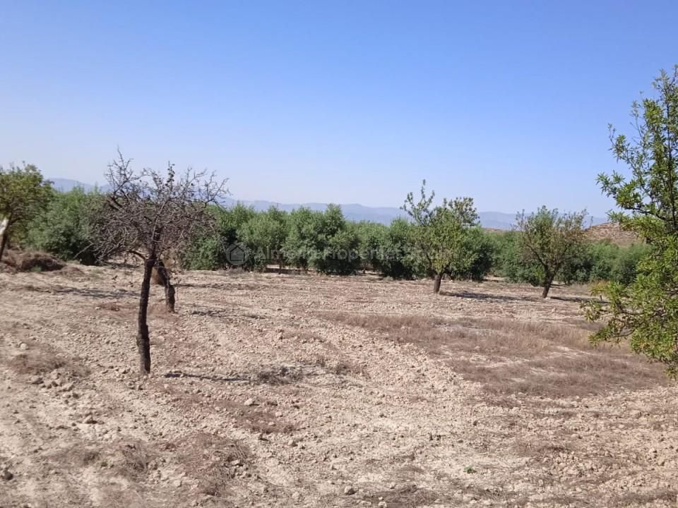 Helårsgrund i Albox, Almeria - foto 2
