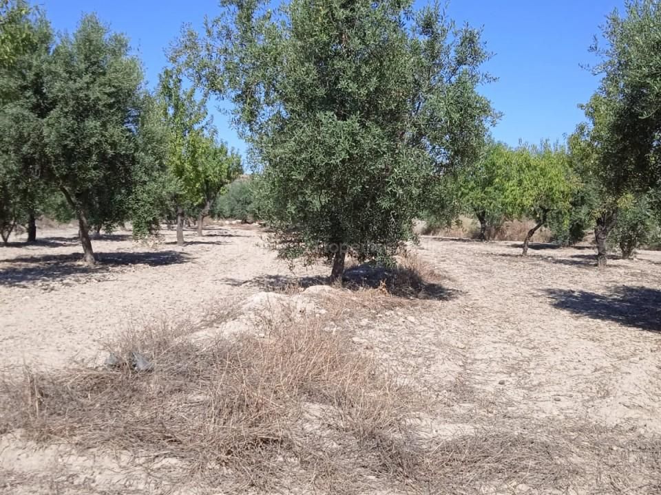 Helårsgrund i Albox, Almeria - foto 4