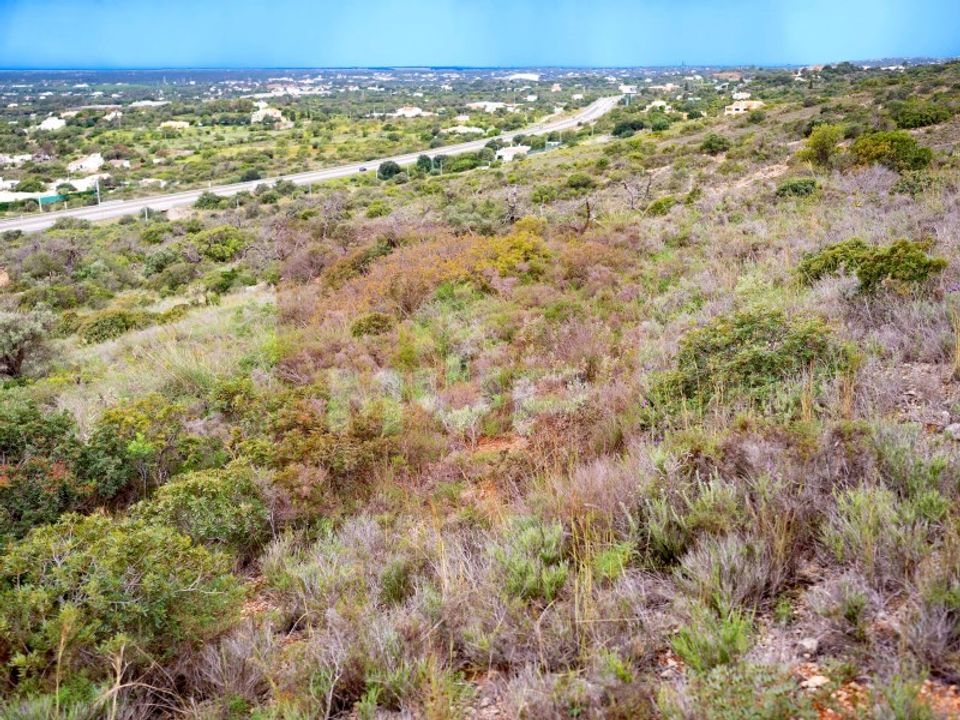 Helårsgrund i Santa Barbara de Nexe, Faro - foto 3