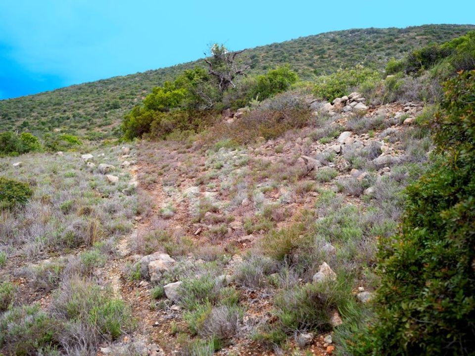 Helårsgrund i Santa Barbara de Nexe, Faro - foto 5