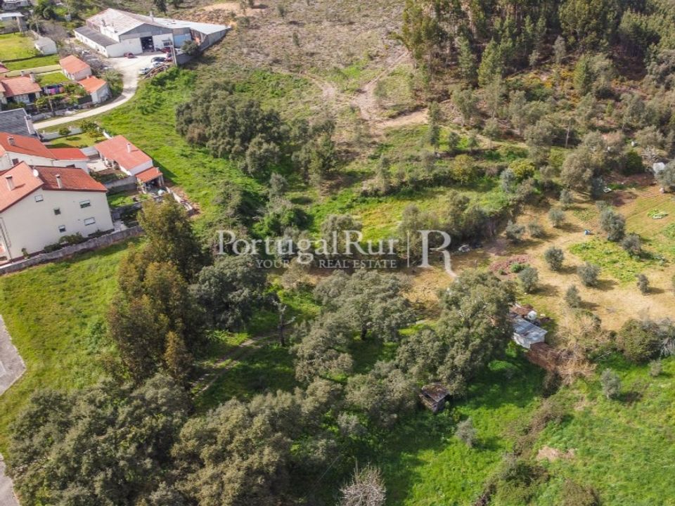 Terreno en Proenca-a-Nova, Castelo Branco - foto 1