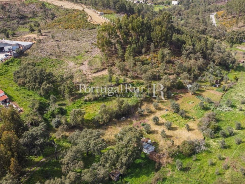 Terreno en Proenca-a-Nova, Castelo Branco - foto 3