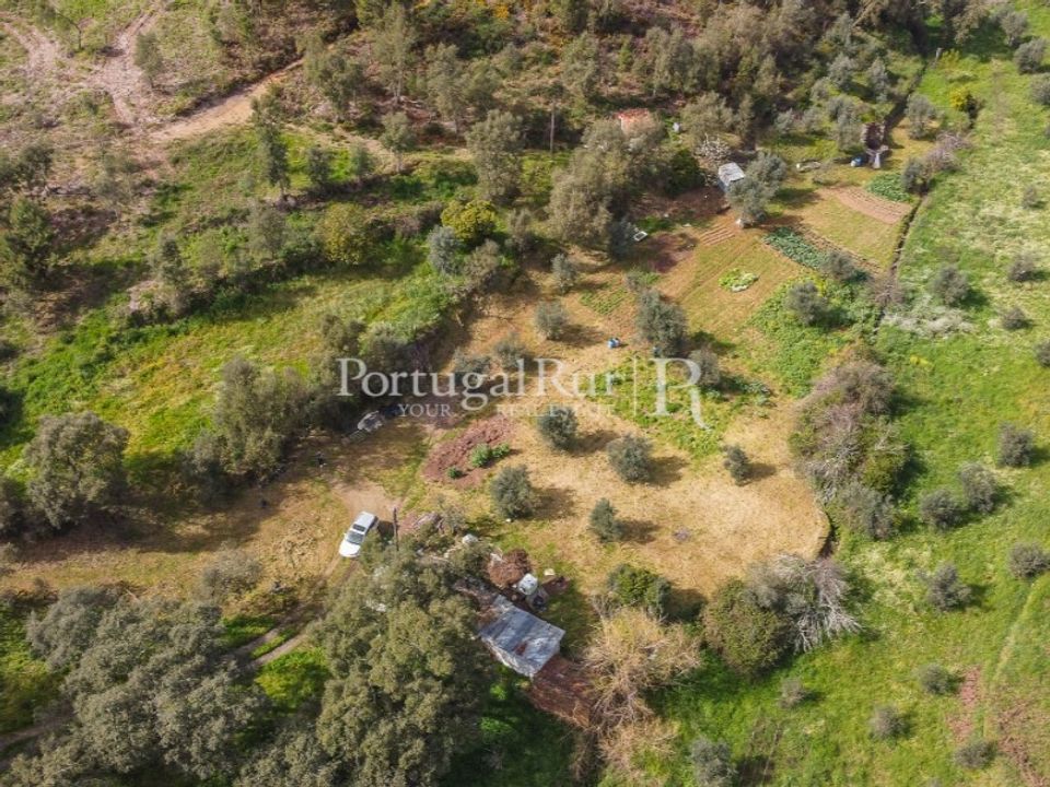 Terreno en Proenca-a-Nova, Castelo Branco - foto 4