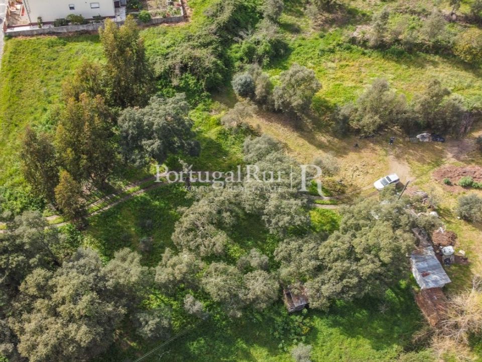 Terreno en Proenca-a-Nova, Castelo Branco - foto 5