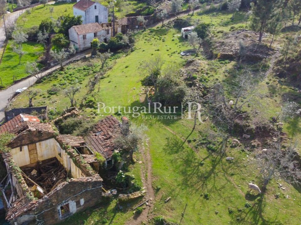 Farm i Proenca-a-Nova, Castelo Branco - foto 2