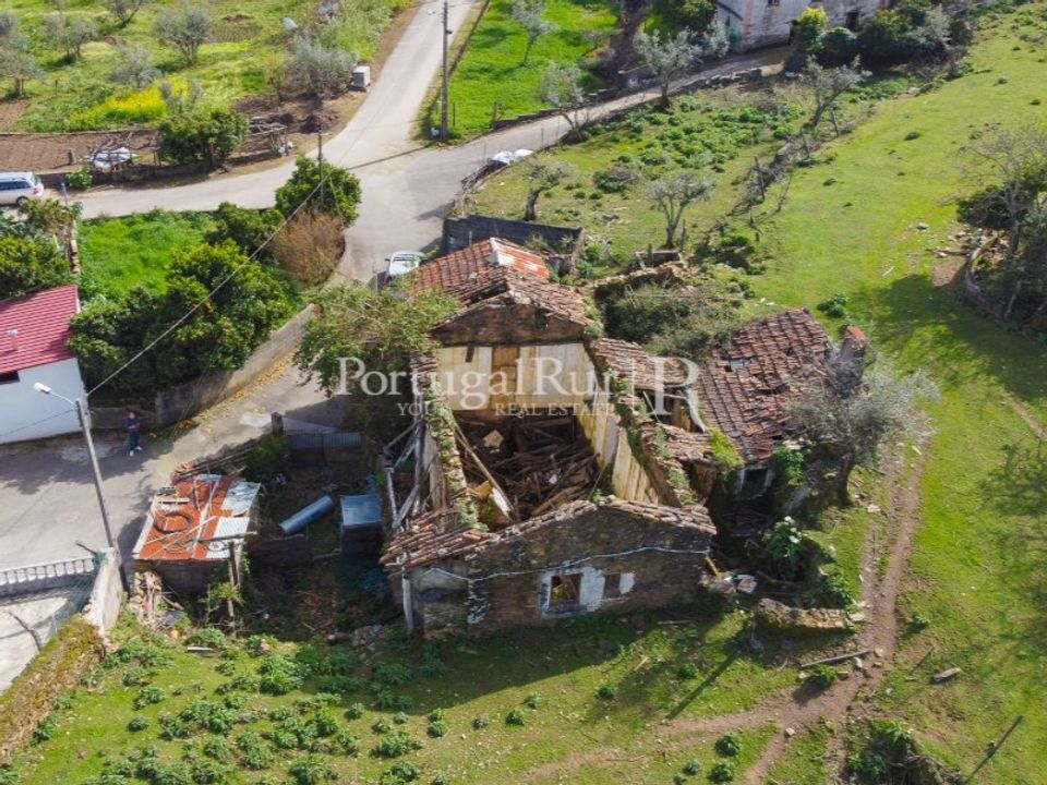 Farm i Proenca-a-Nova, Castelo Branco - foto 3