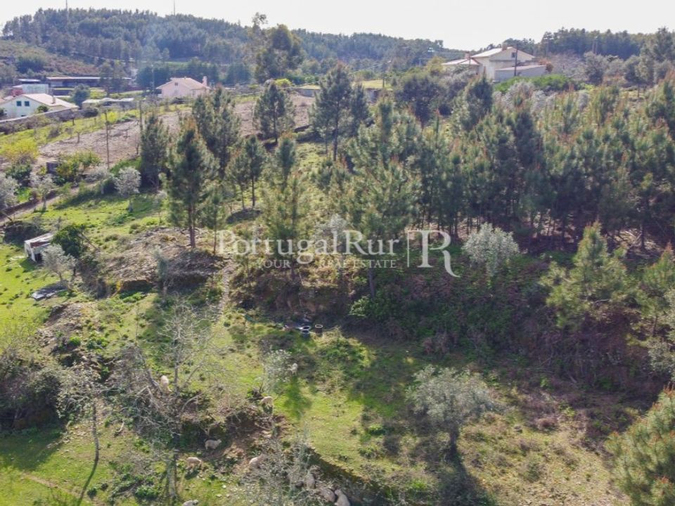 Farm i Proenca-a-Nova, Castelo Branco - foto 4