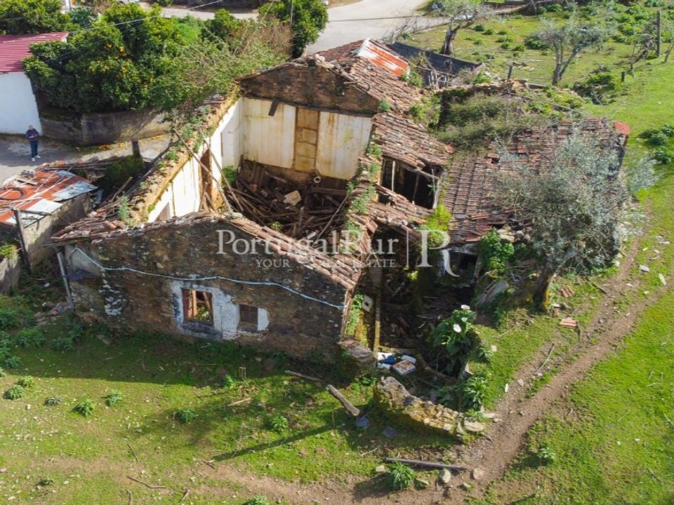 Farm i Proenca-a-Nova, Castelo Branco - foto 1