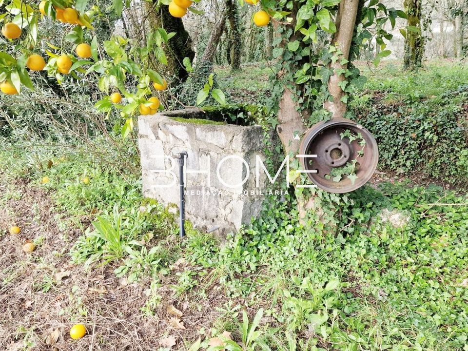 Helårsgrund i Amares, Braga - foto 5