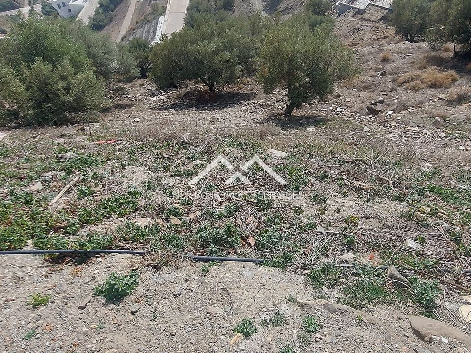 Helårsgrund i Torrox, Malaga - foto 4