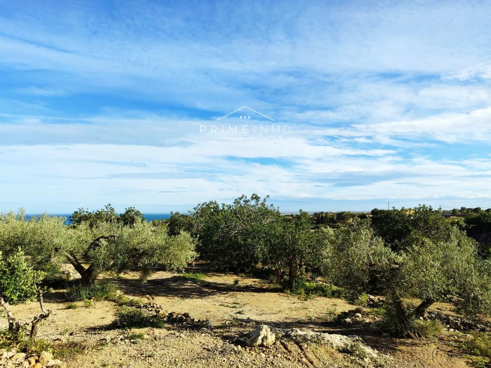 Finca i El Perello, Tarragona - foto 3