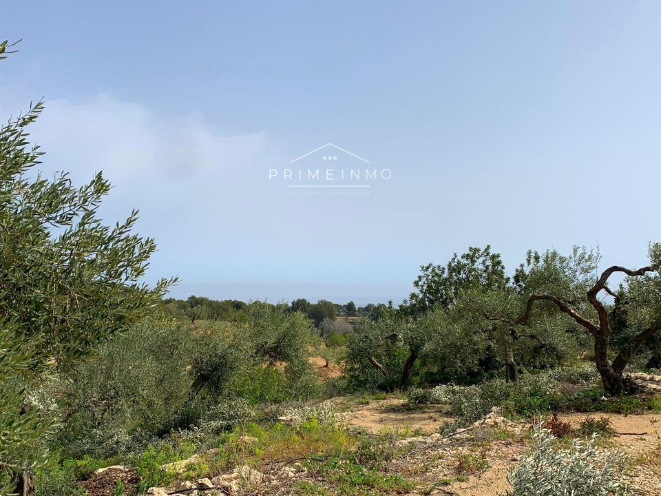 Finca i El Perello, Tarragona - foto 4