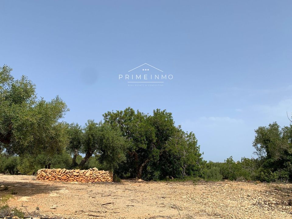 Finca i El Perello, Tarragona - foto 5