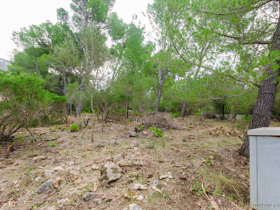 Helårsgrund i Betlem, Mallorca - foto 2
