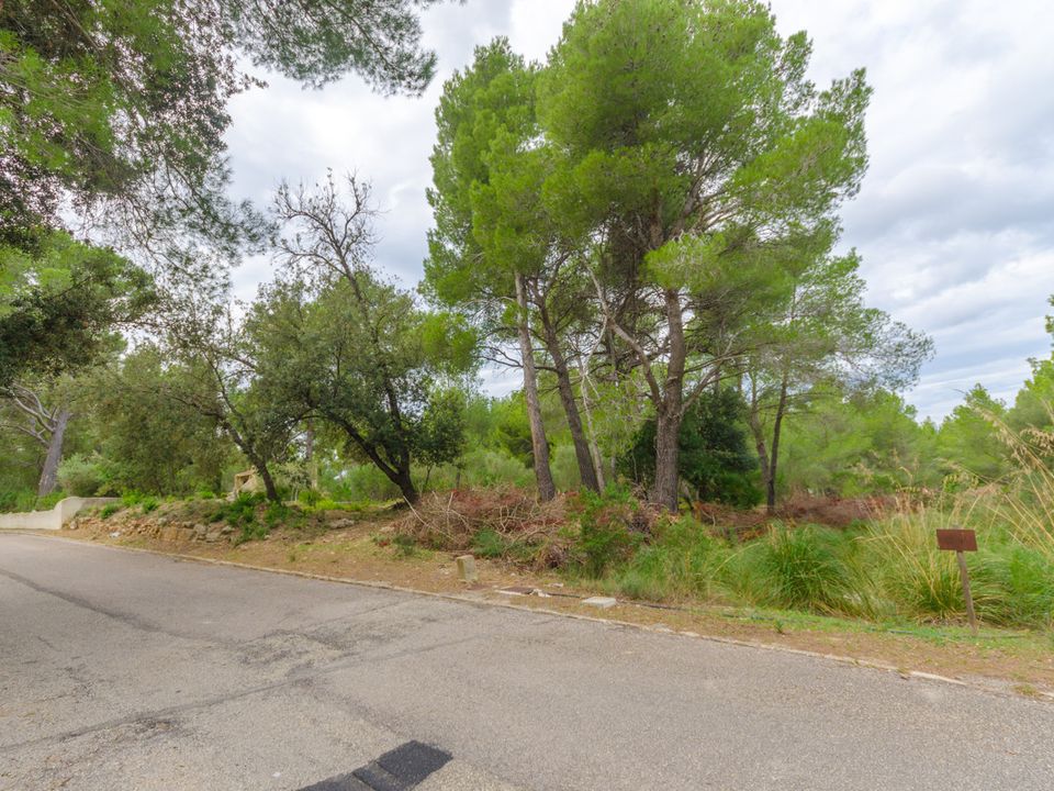 Helårsgrund i Betlem, Mallorca - foto 3