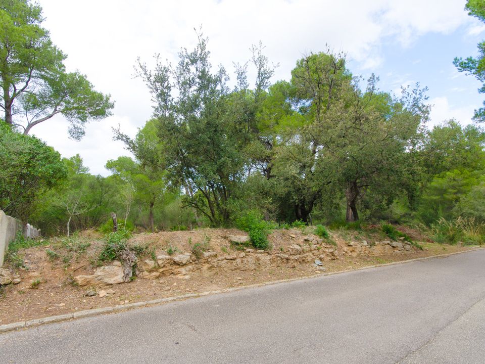 Helårsgrund i Betlem, Mallorca - foto 4