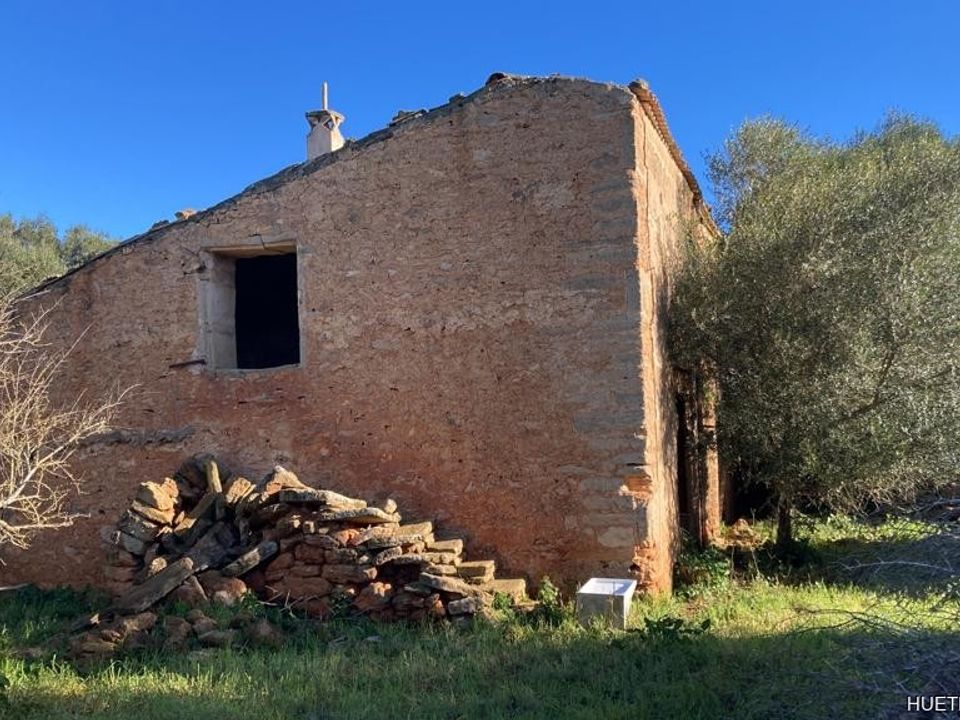 Helårsgrund i Manacor, Mallorca - foto 3