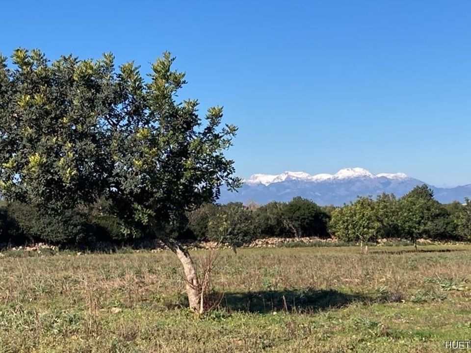 Helårsgrund i Manacor, Mallorca - foto 4