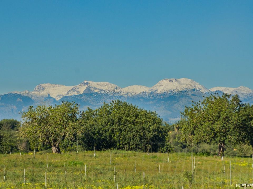 Helårsgrund i Manacor, Mallorca - foto 5