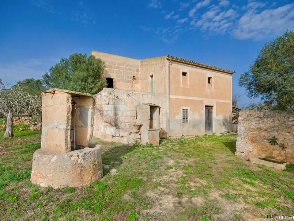 Helårsgrund i Son Negre, Mallorca - foto 1