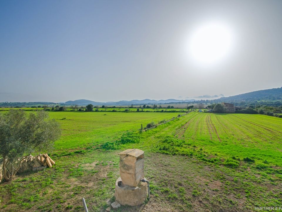 Helårsgrund i Son Negre, Mallorca - foto 3