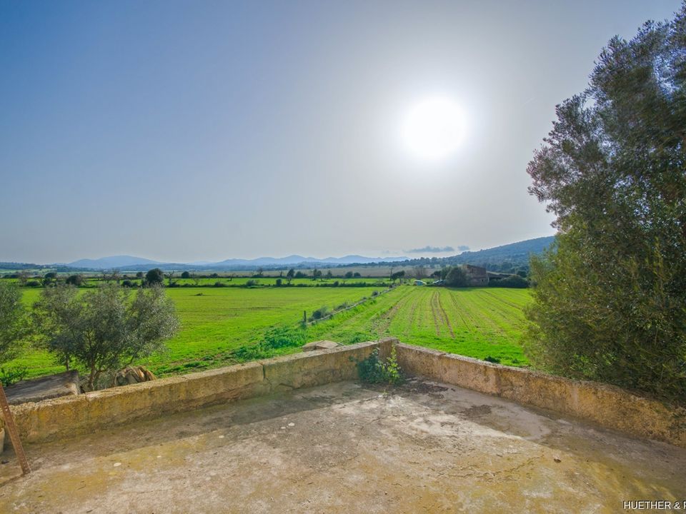 Helårsgrund i Son Negre, Mallorca - foto 4