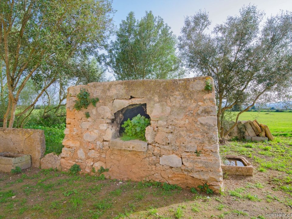Helårsgrund i Son Negre, Mallorca - foto 5