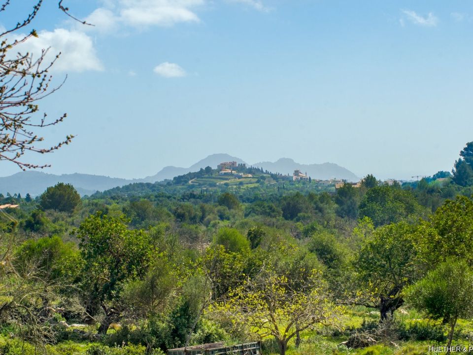 Helårsgrund i Arta, Mallorca - foto 3
