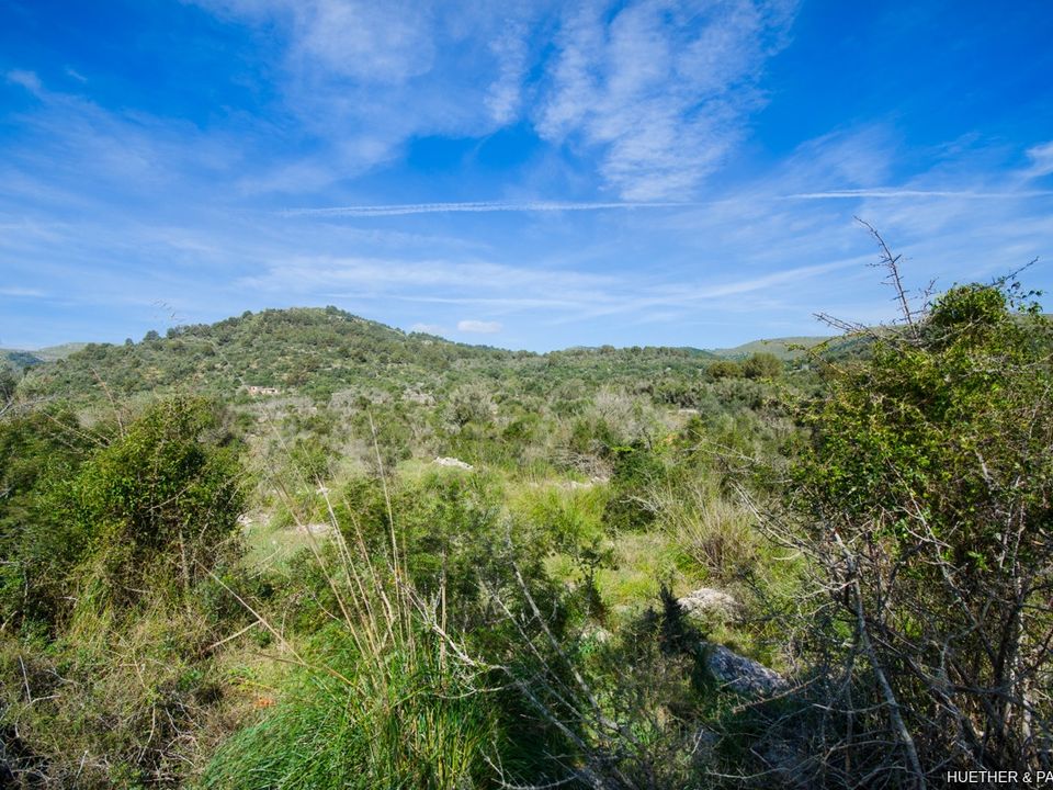 Helårsgrund i Arta, Mallorca - foto 4
